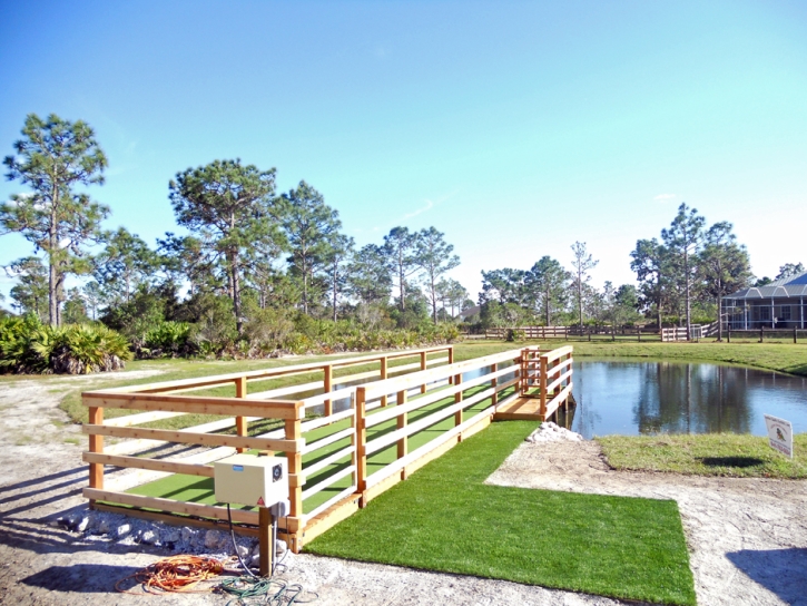 Grass Installation Sharpes, Florida Landscape Ideas, Backyard Landscaping