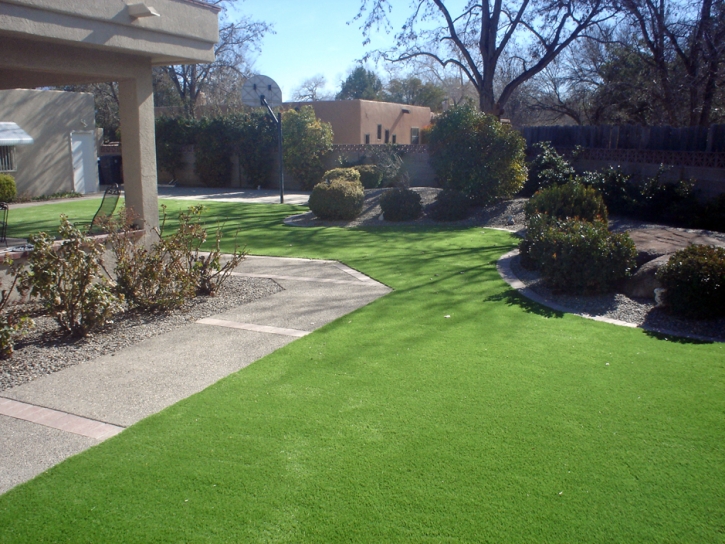 Grass Turf Beverly Beach, Florida Landscape Design, Front Yard Landscaping