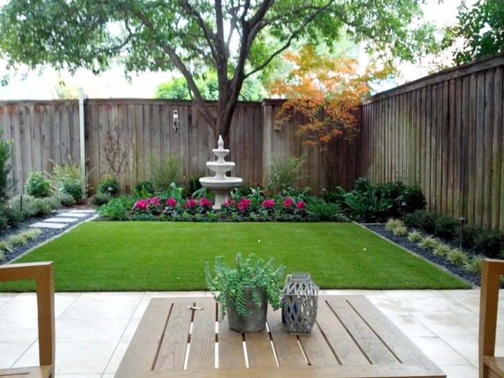 Grass Turf Gainesville, Florida Landscaping Business, Backyard Ideas