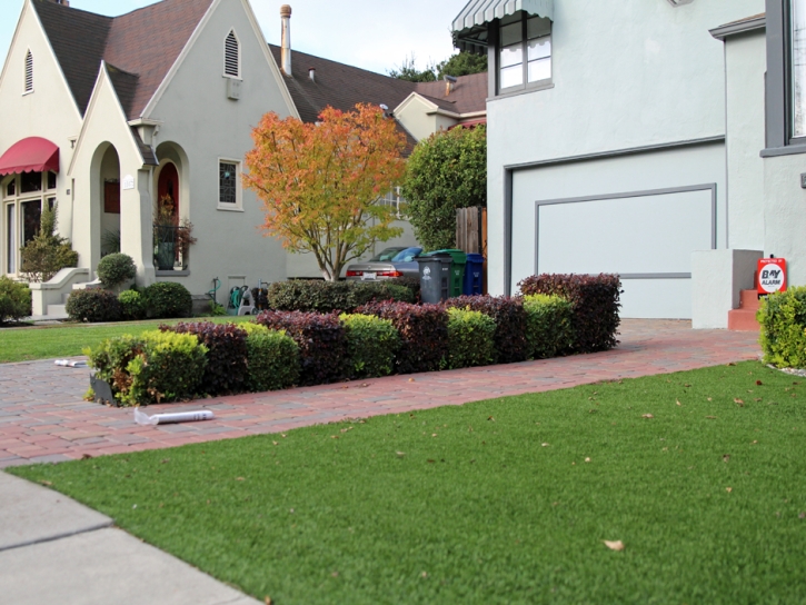 Grass Turf Hastings, Florida Garden Ideas, Front Yard Design