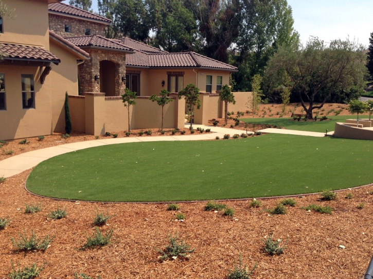 Grass Turf Inverness Highlands North, Florida Backyard Playground, Front Yard