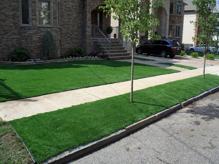 Grass Turf Lacoochee, Florida Design Ideas, Front Yard Landscape Ideas