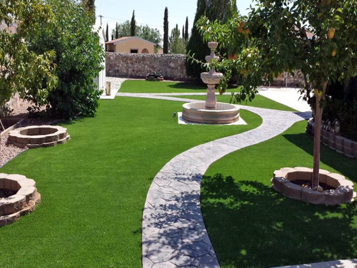 Grass Turf Neptune Beach, Florida Design Ideas, Backyard Designs