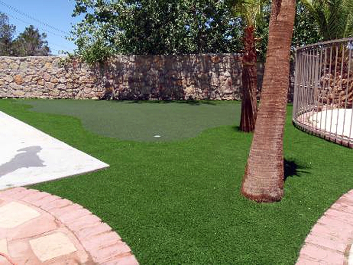 Grass Turf Ocala, Florida Gardeners, Backyard Landscaping