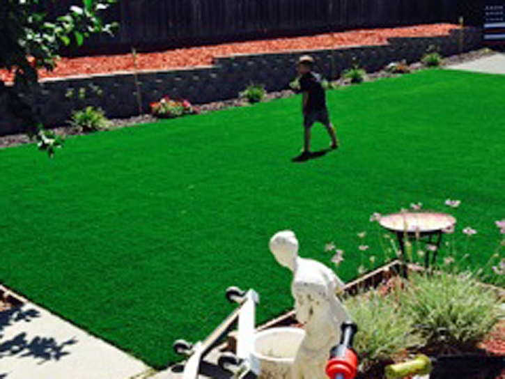 Grass Turf Palatka, Florida Landscaping, Beautiful Backyards