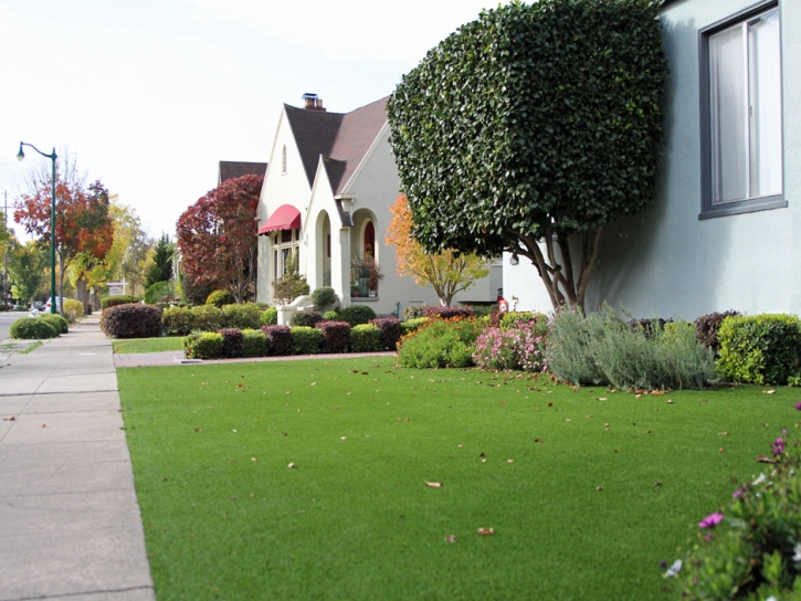 Grass Turf Reddick, Florida Lawns, Front Yard Design