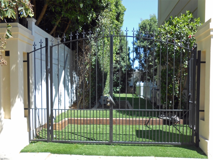 Grass Turf Saint Augustine Beach, Florida Design Ideas, Front Yard Landscaping