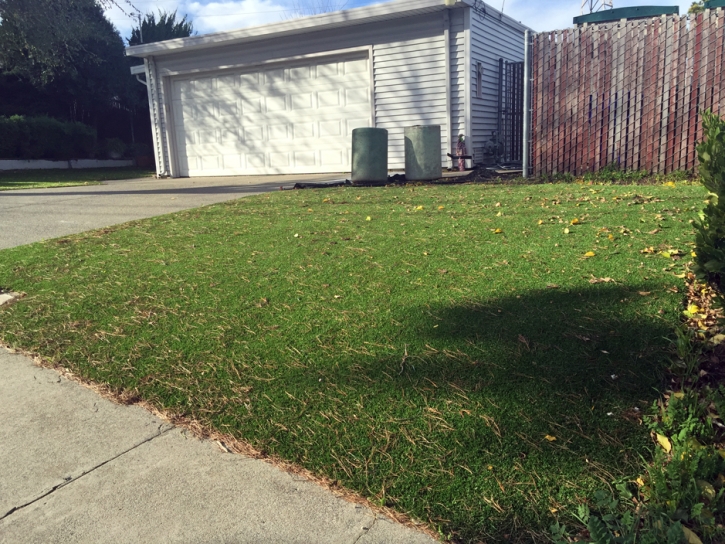 Green Lawn Black Diamond, Florida Backyard Playground, Front Yard