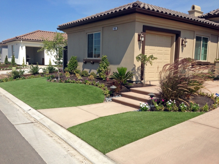 Green Lawn Coleman, Florida Gardeners, Front Yard Ideas