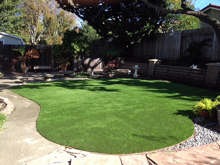 Green Lawn Howie In The Hills, Florida Landscape Ideas, Backyard