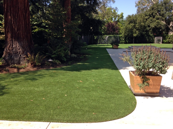 Green Lawn Lockhart, Florida Dog Park, Front Yard Design