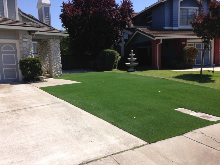 Green Lawn Longwood, Florida Lawn And Garden, Small Front Yard Landscaping