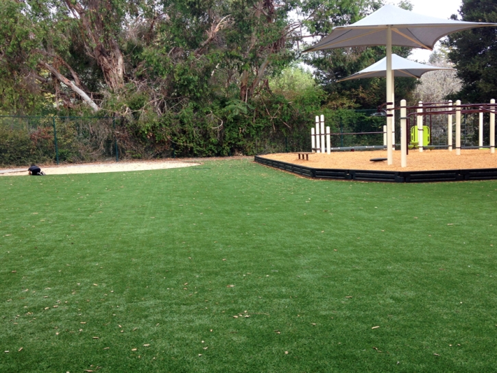 Green Lawn Marineland, Florida Upper Playground