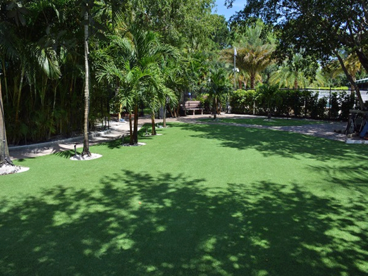 Green Lawn Midway, Florida Lawn And Landscape, Commercial Landscape