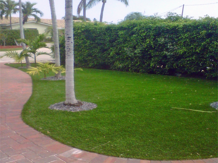 Green Lawn Mims, Florida Landscape Ideas, Landscaping Ideas For Front Yard