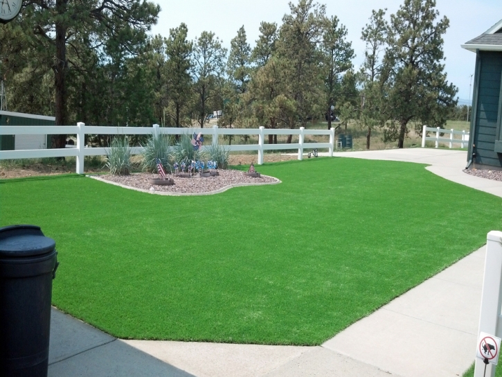 Green Lawn Seville, Florida Landscape Ideas, Front Yard Design