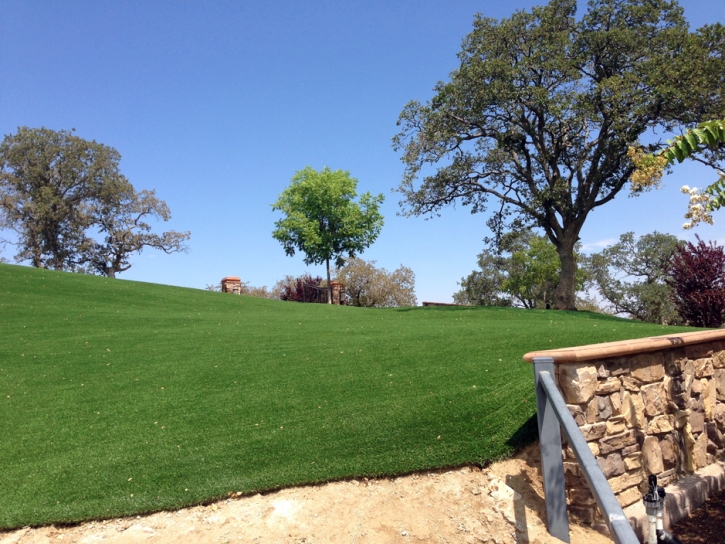 Green Lawn Winter Springs, Florida Rooftop, Front Yard Design