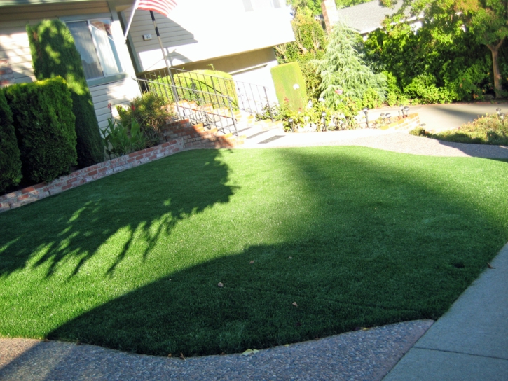 Installing Artificial Grass Istachatta, Florida Lawns, Front Yard Ideas