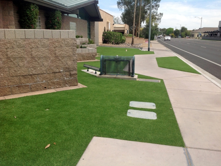 Installing Artificial Grass Lecanto, Florida Rooftop, Small Front Yard Landscaping