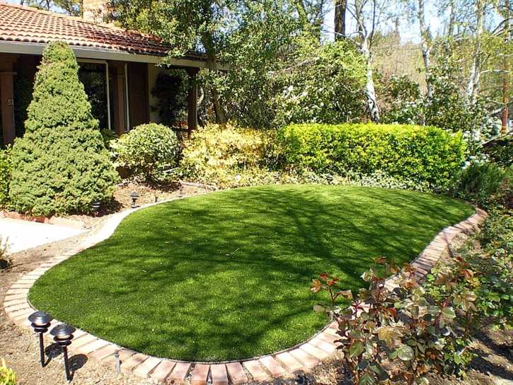 Installing Artificial Grass Trenton, Florida Landscape Photos, Backyards