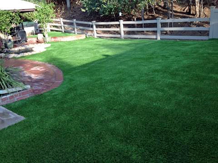 Installing Artificial Grass Villano Beach, Florida Dog Park, Backyard Landscape Ideas