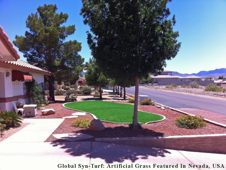 Lawn Services Atlantic Beach, Florida Landscape Photos, Front Yard