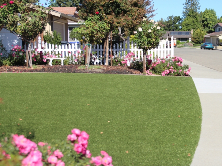 Lawn Services Black Diamond, Florida Garden Ideas, Small Front Yard Landscaping