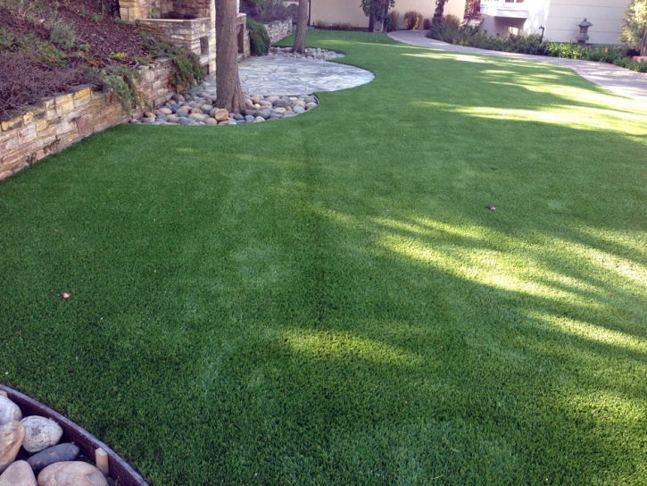 Lawn Services Conway, Florida Landscape Photos, Backyard Garden Ideas