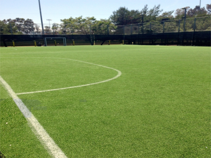 Lawn Services Lisbon, Florida Stadium