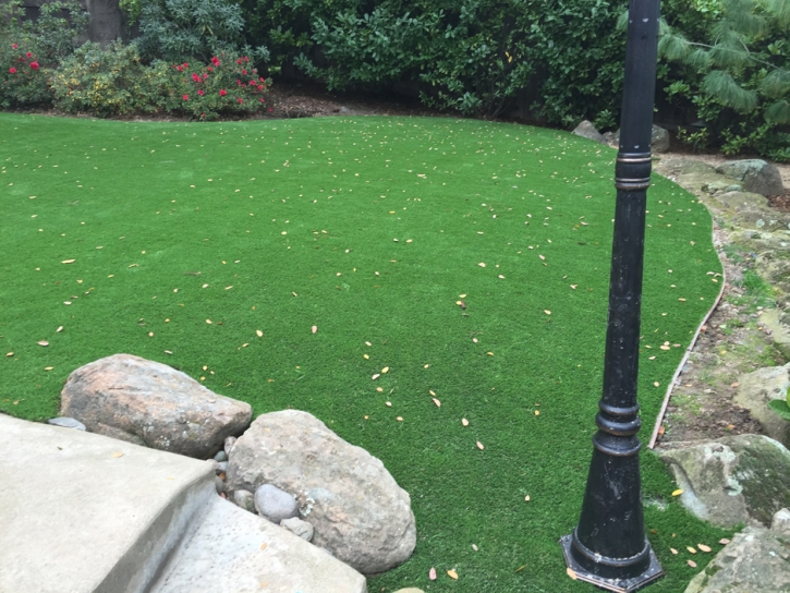 Lawn Services Lockhart, Florida Landscaping Business, Backyard Landscape Ideas