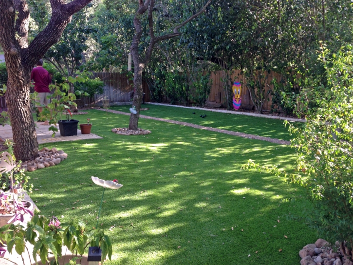 Lawn Services Penney Farms, Florida City Landscape, Backyard Design