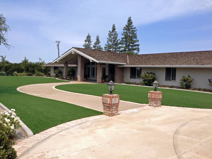 Lawn Services Perry, Florida City Landscape, Front Yard