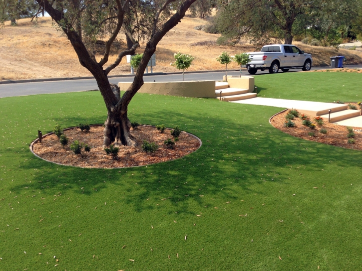 Lawn Services Starke, Florida Landscape Rock, Front Yard Design