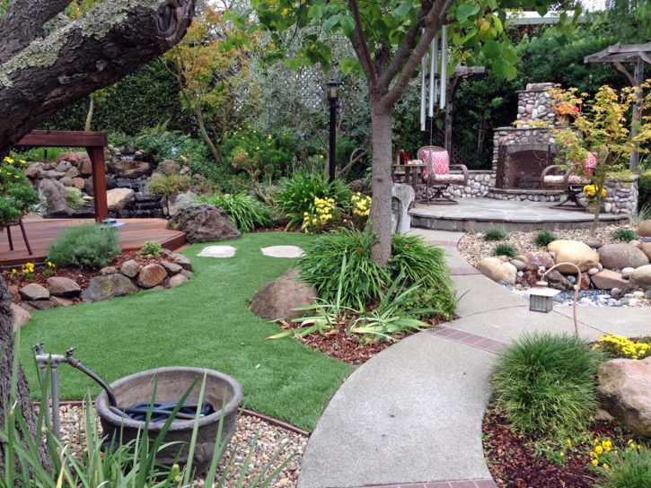 Outdoor Carpet Aripeka, Florida Lawn And Garden, Backyard Design