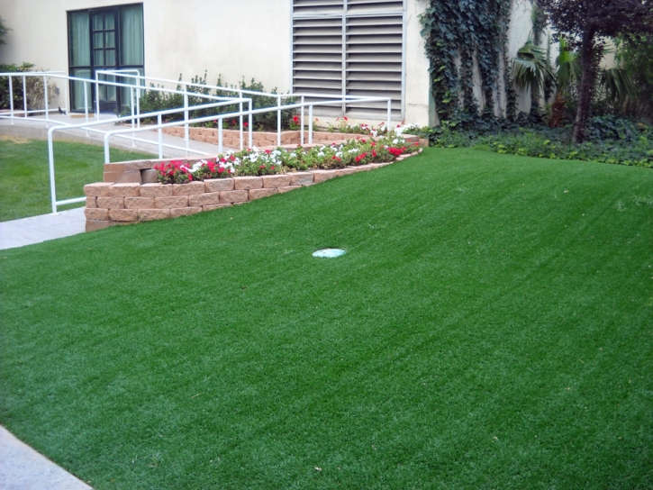 Outdoor Carpet Fernandina Beach, Florida Diy Putting Green, Commercial Landscape