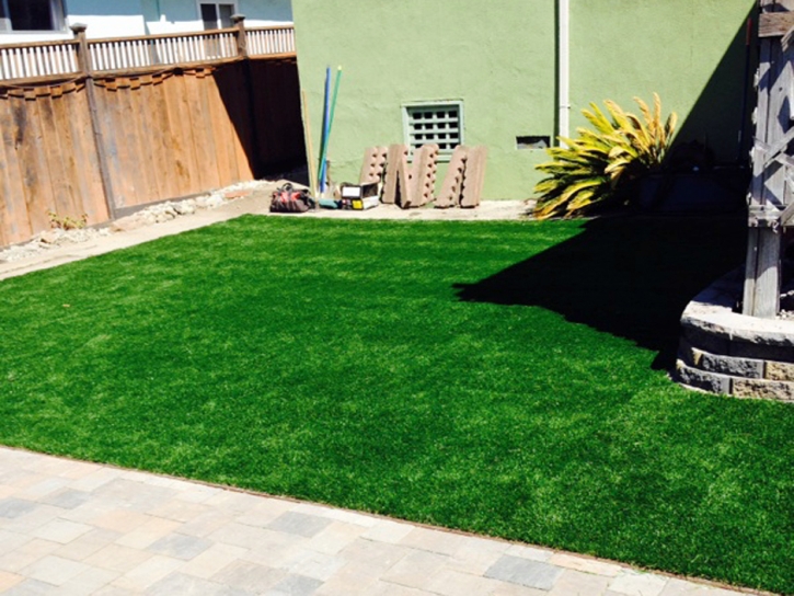 Outdoor Carpet Hawthorne, Florida Lawn And Garden, Backyard