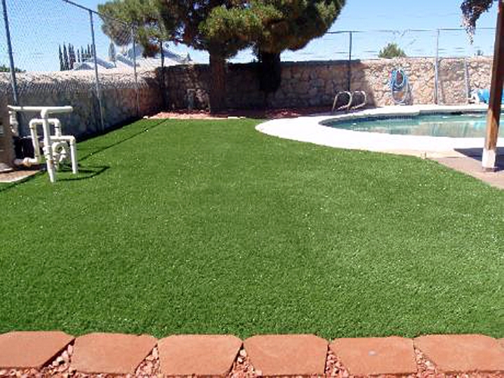 Outdoor Carpet Keystone Heights, Florida Dog Parks, Natural Swimming Pools