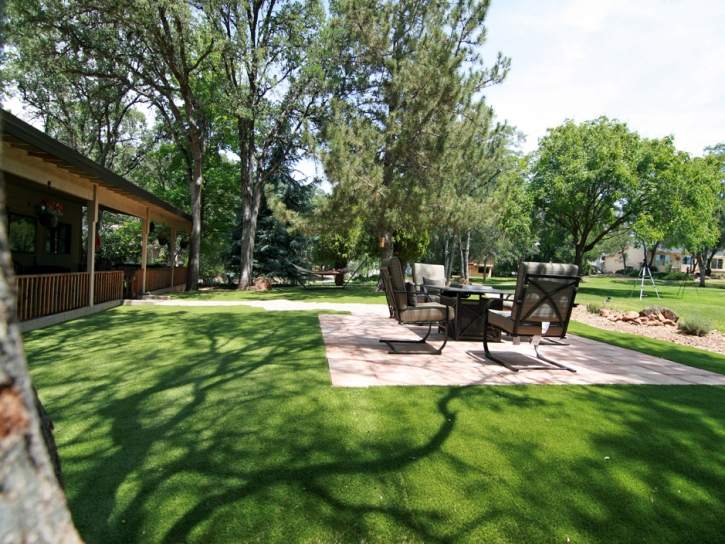 Outdoor Carpet Live Oak, Florida Rooftop, Backyard Ideas