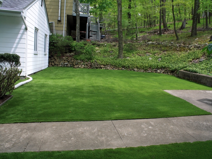 Outdoor Carpet Pine Island, Florida Roof Top, Front Yard Landscaping