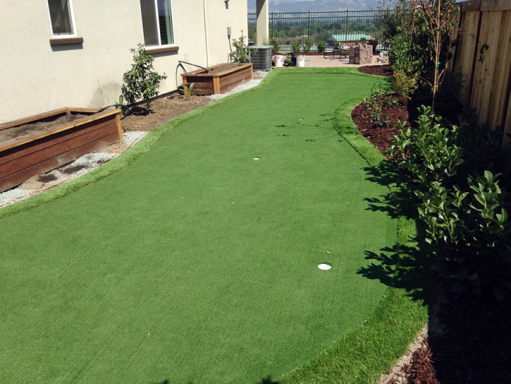 Outdoor Carpet Saint Leo, Florida Putting Green, Backyard Makeover