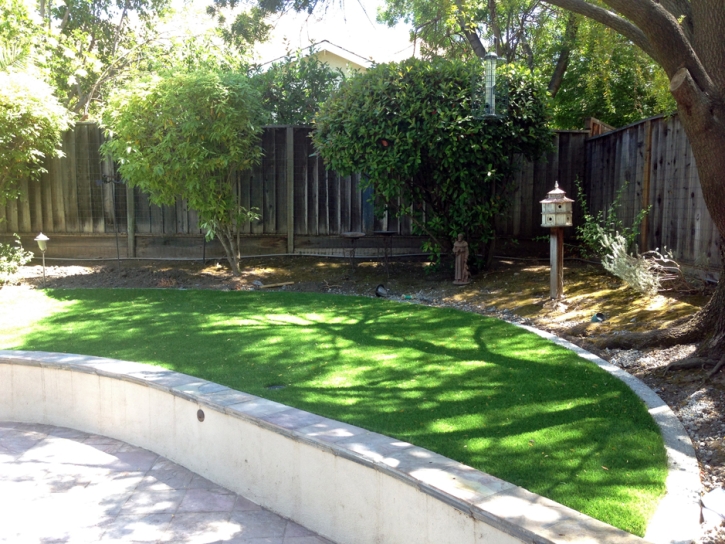 Outdoor Carpet Union Park, Florida Lawn And Garden, Commercial Landscape