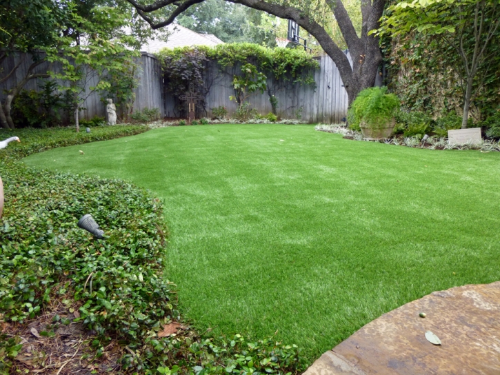 Plastic Grass Bithlo, Florida Landscaping, Backyard Designs