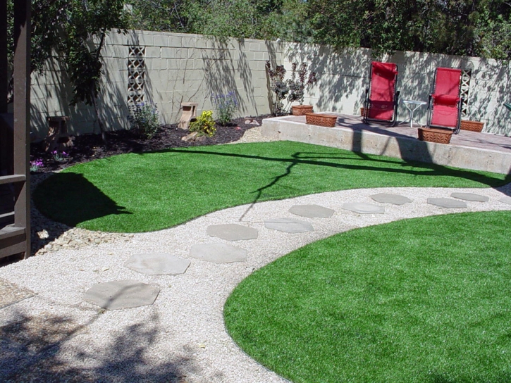 Plastic Grass Groveland, Florida Landscaping Business, Backyard Ideas