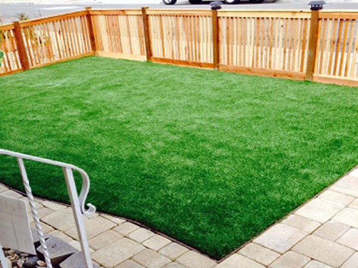 Plastic Grass Lake City, Florida Landscape Ideas, Small Backyard Ideas