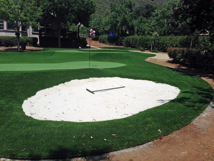 Plastic Grass Mount Dora, Florida Golf Green, Front Yard Landscaping