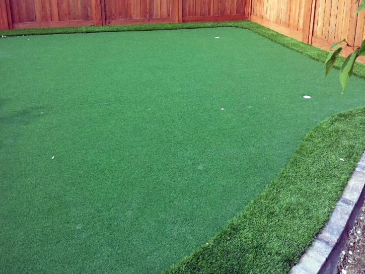 Plastic Grass Palm Valley, Florida Best Indoor Putting Green, Backyard Design