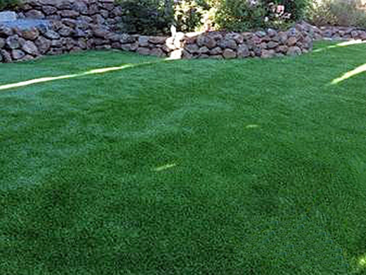 Plastic Grass Saint Augustine, Florida Rooftop, Backyard Design