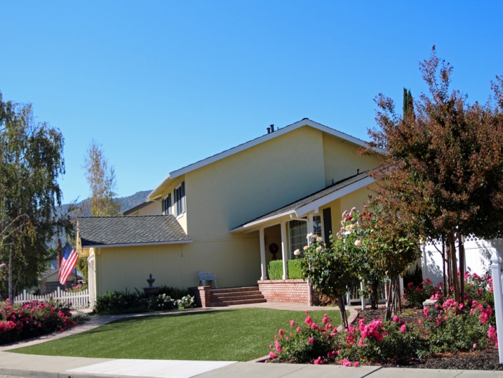 Plastic Grass Starke, Florida Gardeners, Front Yard Landscape Ideas