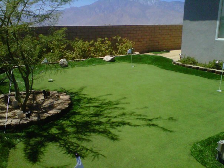 Synthetic Grass Baldwin, Florida Lawn And Garden, Backyard Landscaping Ideas