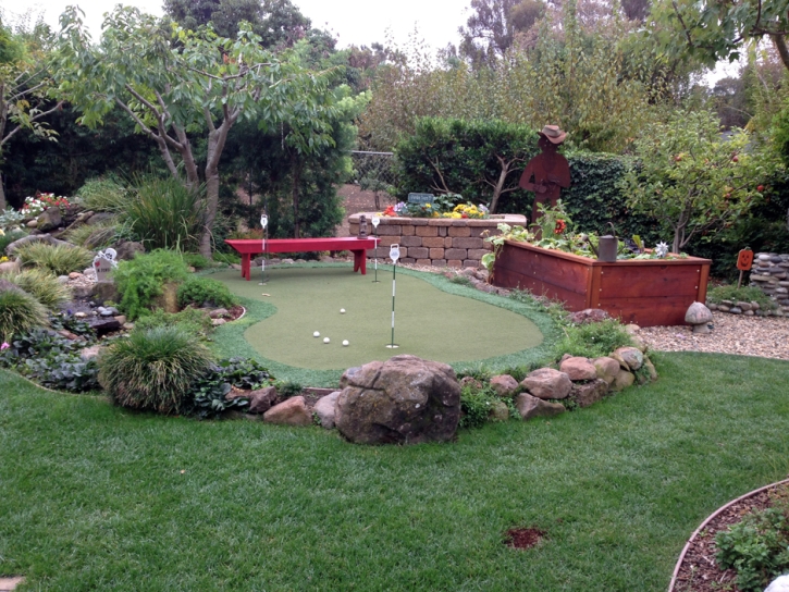 Synthetic Grass Bithlo, Florida Indoor Putting Greens, Backyards